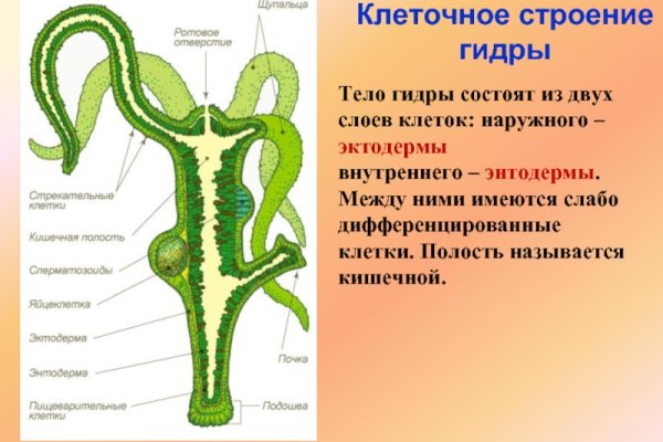 Кракен вывод средств