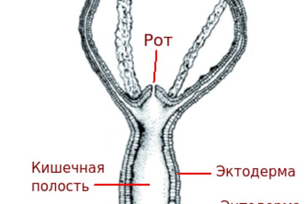 2krn ссылка