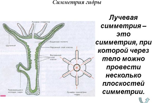 Кракен актуальная ссылка